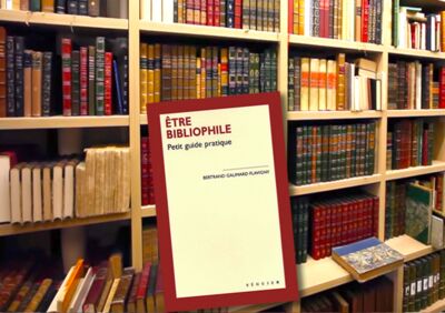 Dictionnaire du bibliophile