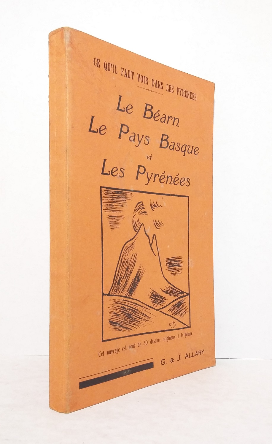 Ce qu'il faut voir dans les Pyrénées : 40 excursions spécialement étudiées et minutieusement décrites