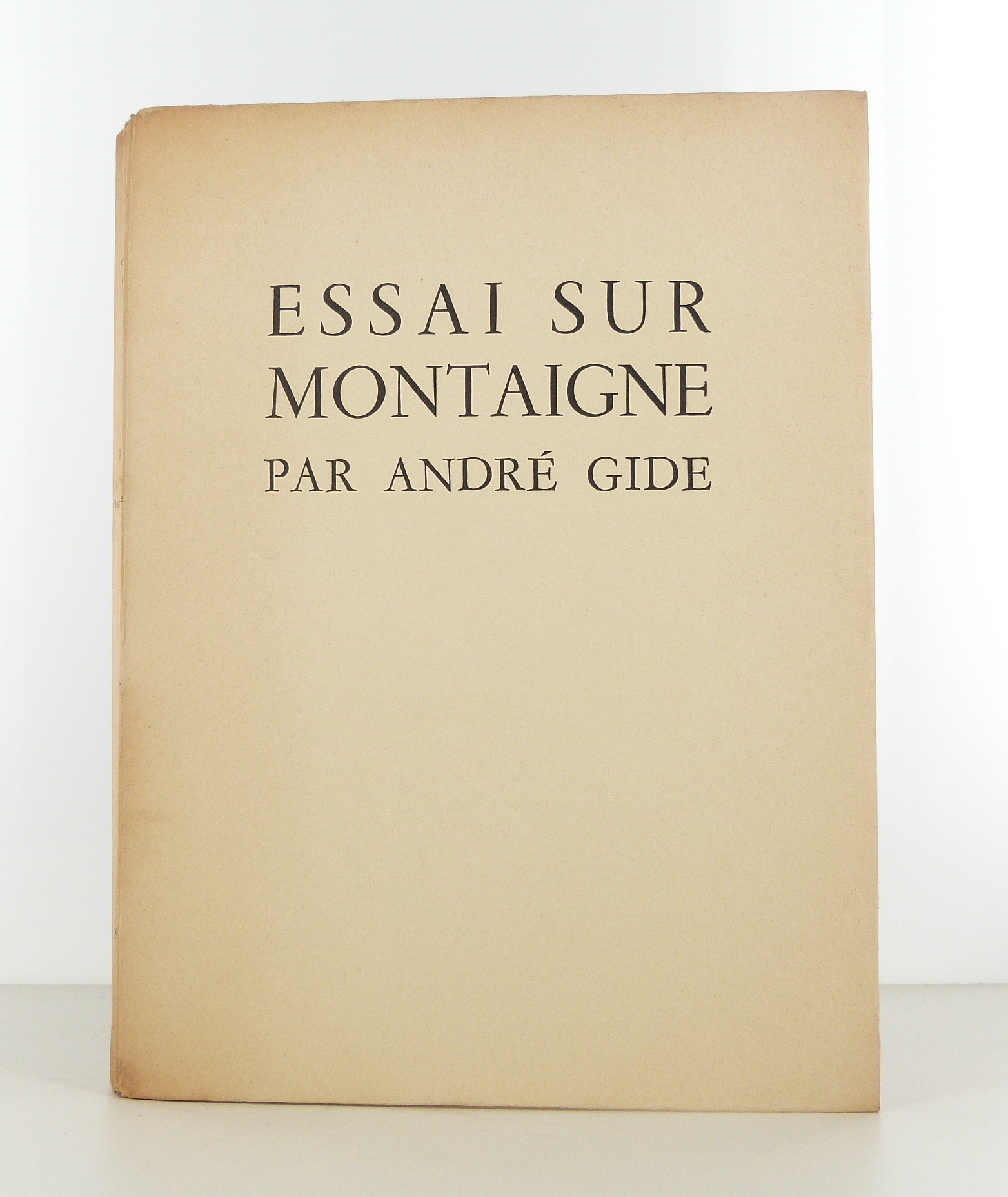 Essai sur Montaigne