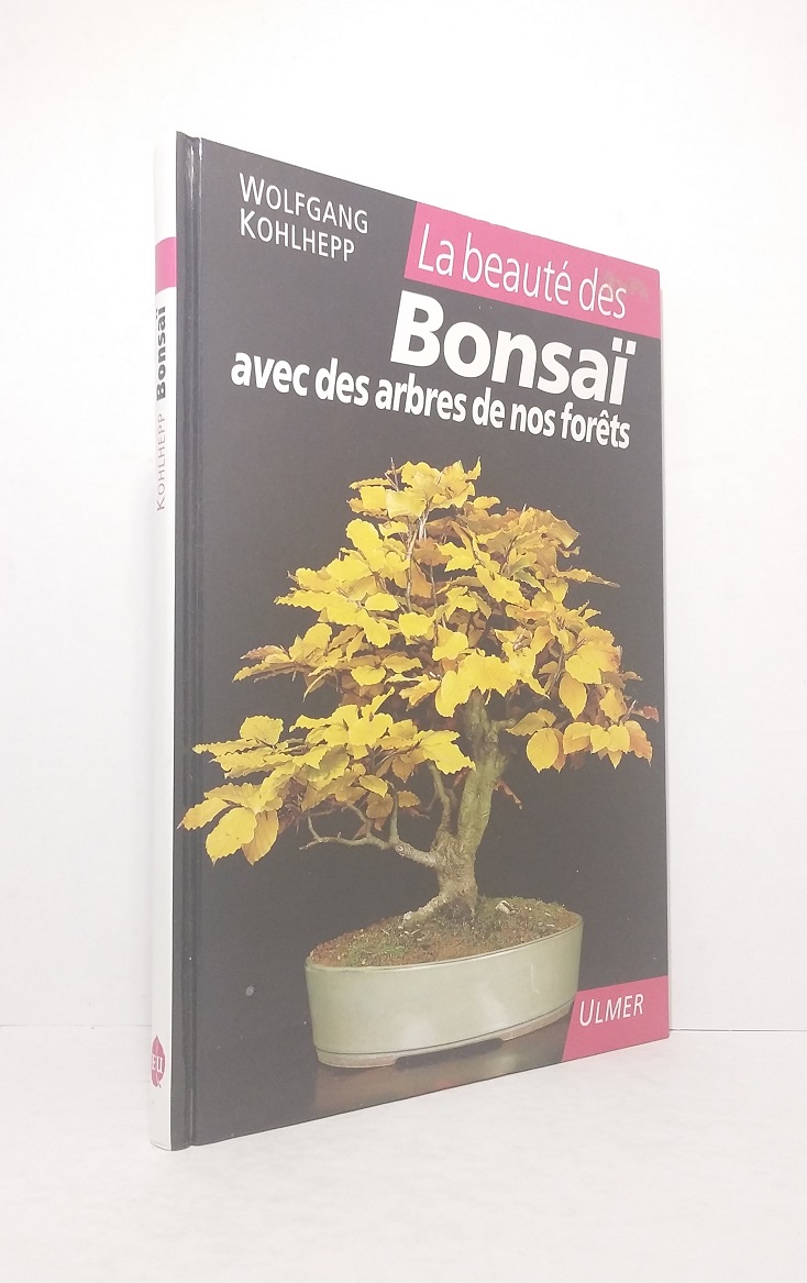 La beauté de Bonsaï avec des arbres de nos forêts