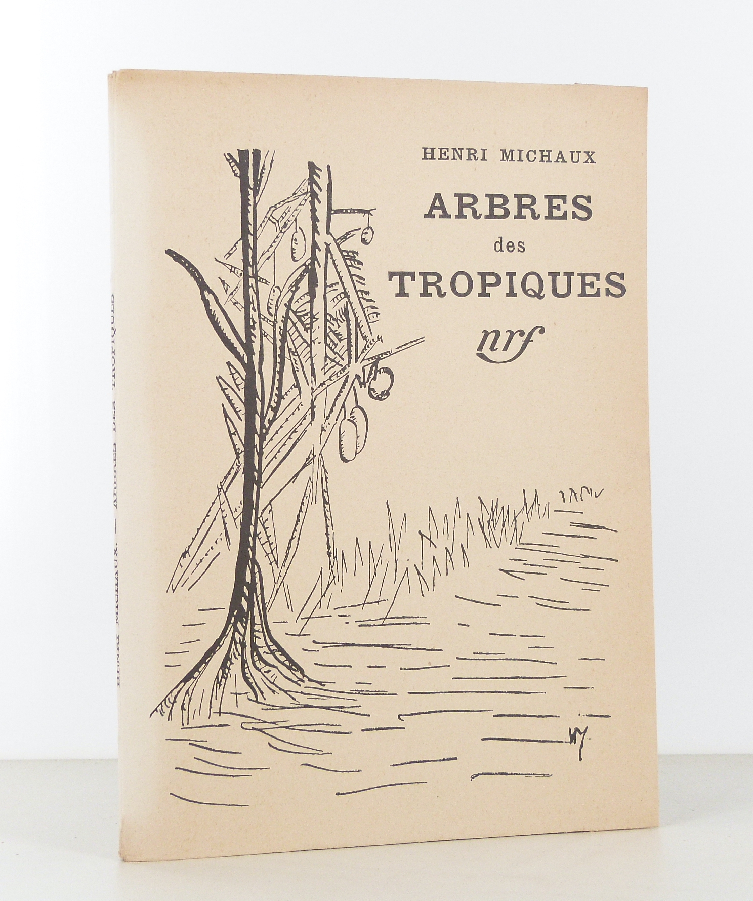 Arbres des tropiques