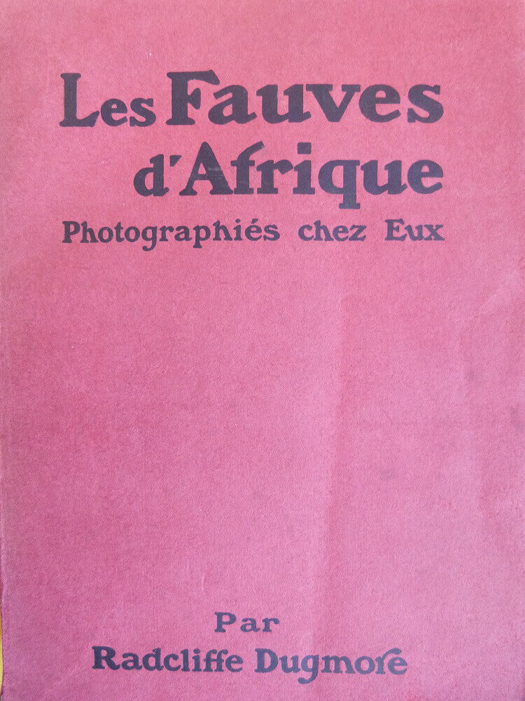 Les Fauves d'Afrique photographiés chez eux