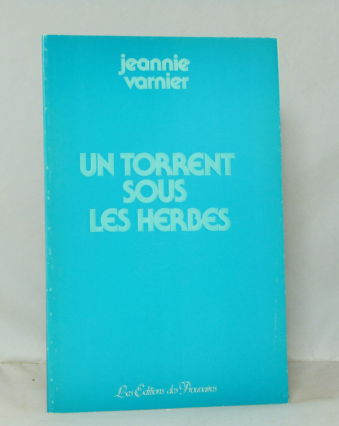 Un torrent sous les herbes