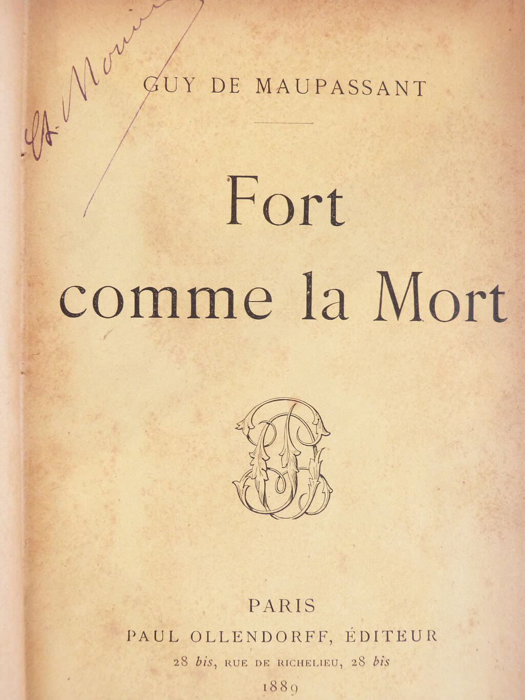 Fort comme la Mort