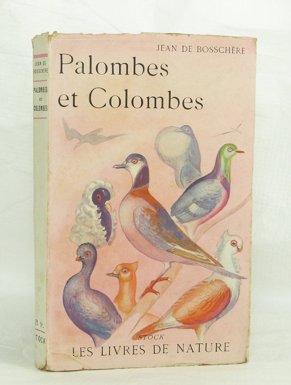 Palombes et Colombes