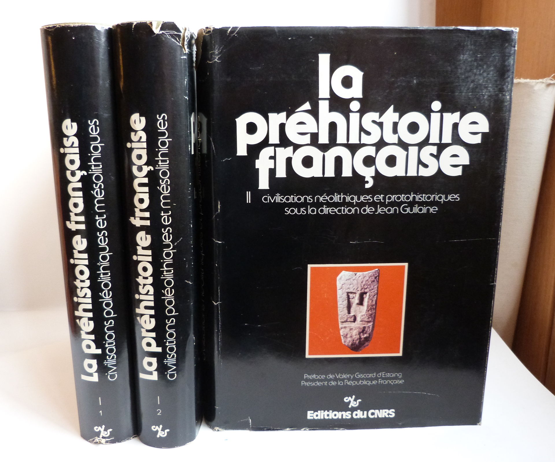 La préhistoire française