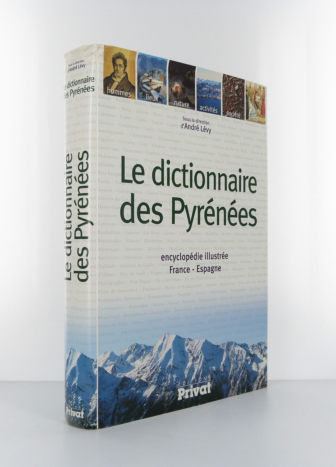 Le dictionnaire des Pyrénées