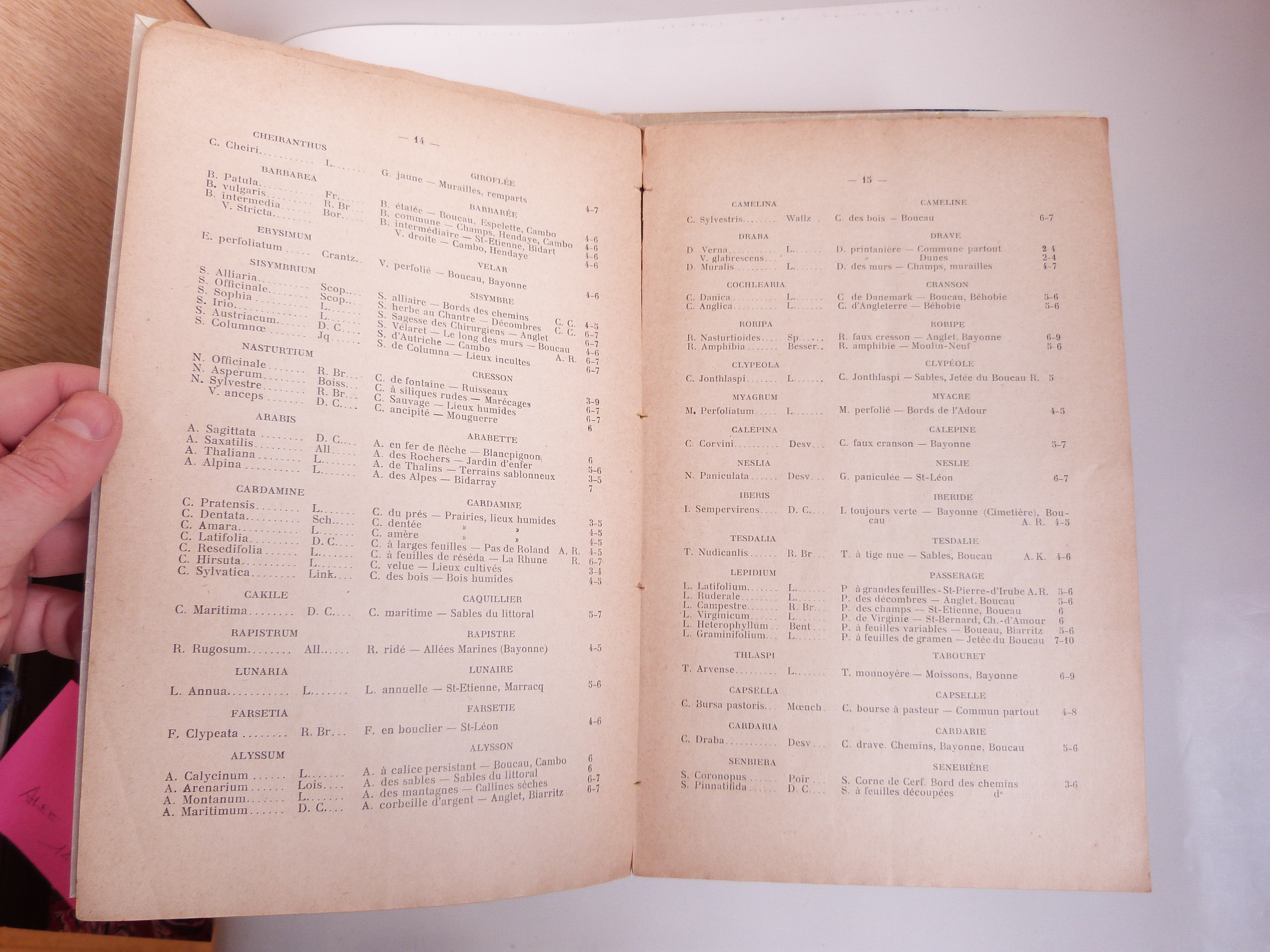 Catalogue des plantes de la région bayonnaise