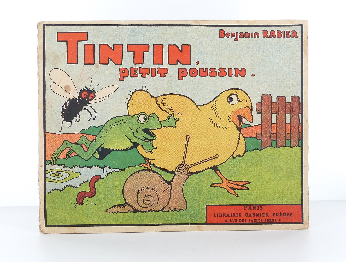 Tintin, petit poussin