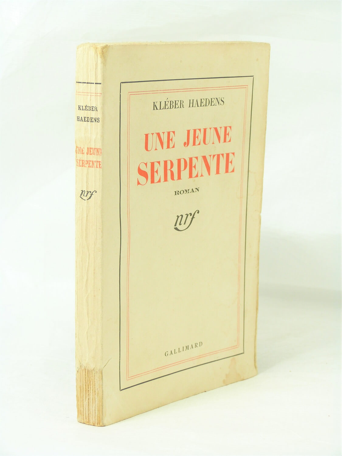 Une jeune serpente